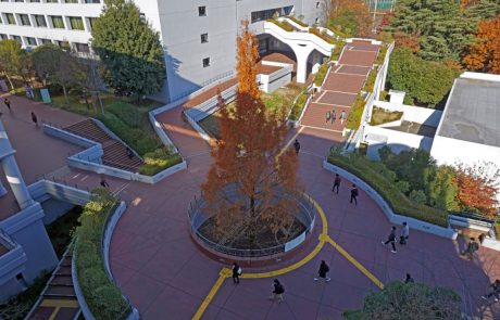 中央大学に施工されたハイブリッドストーン アベイラス アンプロップと蓄光ライン入防滑階段の全体図