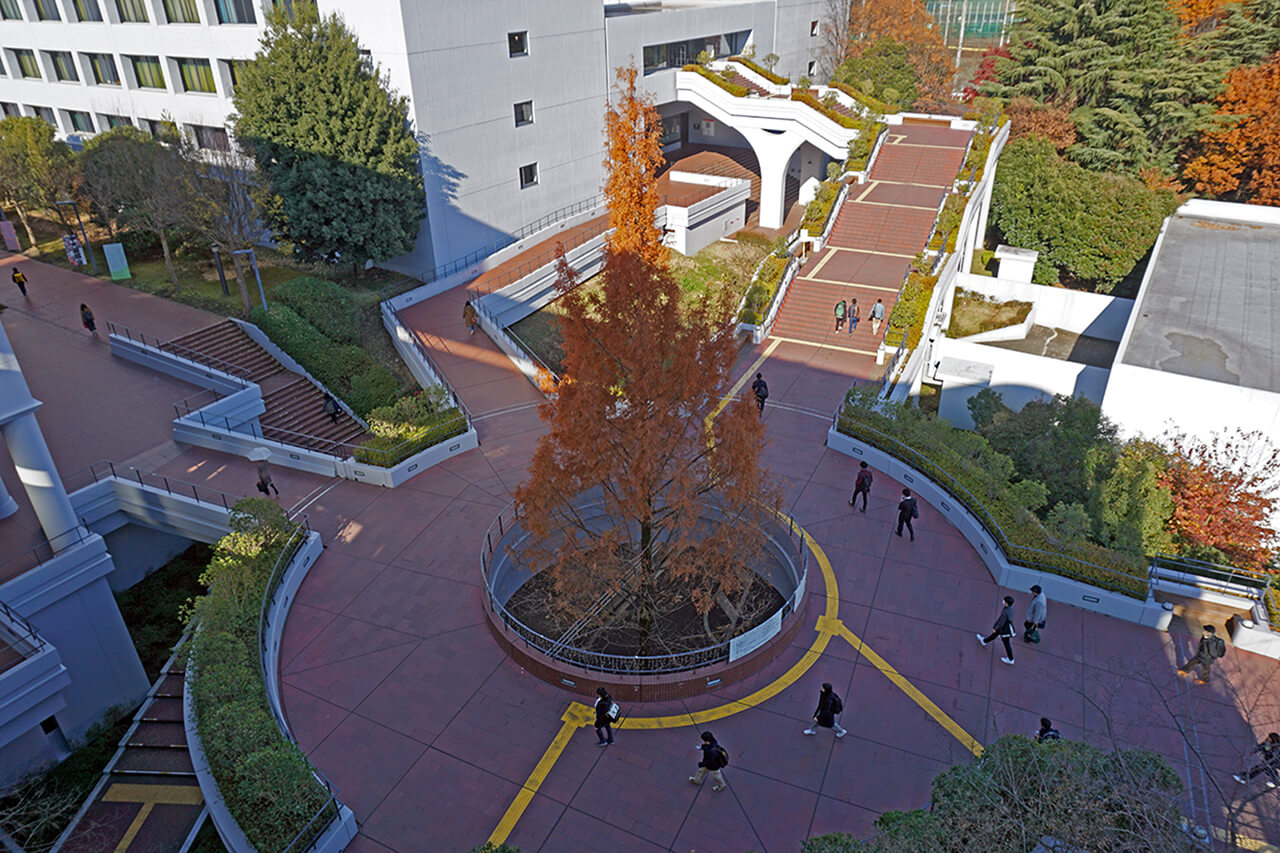 中央大学に施工されたハイブリッドストーン アベイラス アンプロップと蓄光ライン入防滑階段の全体図